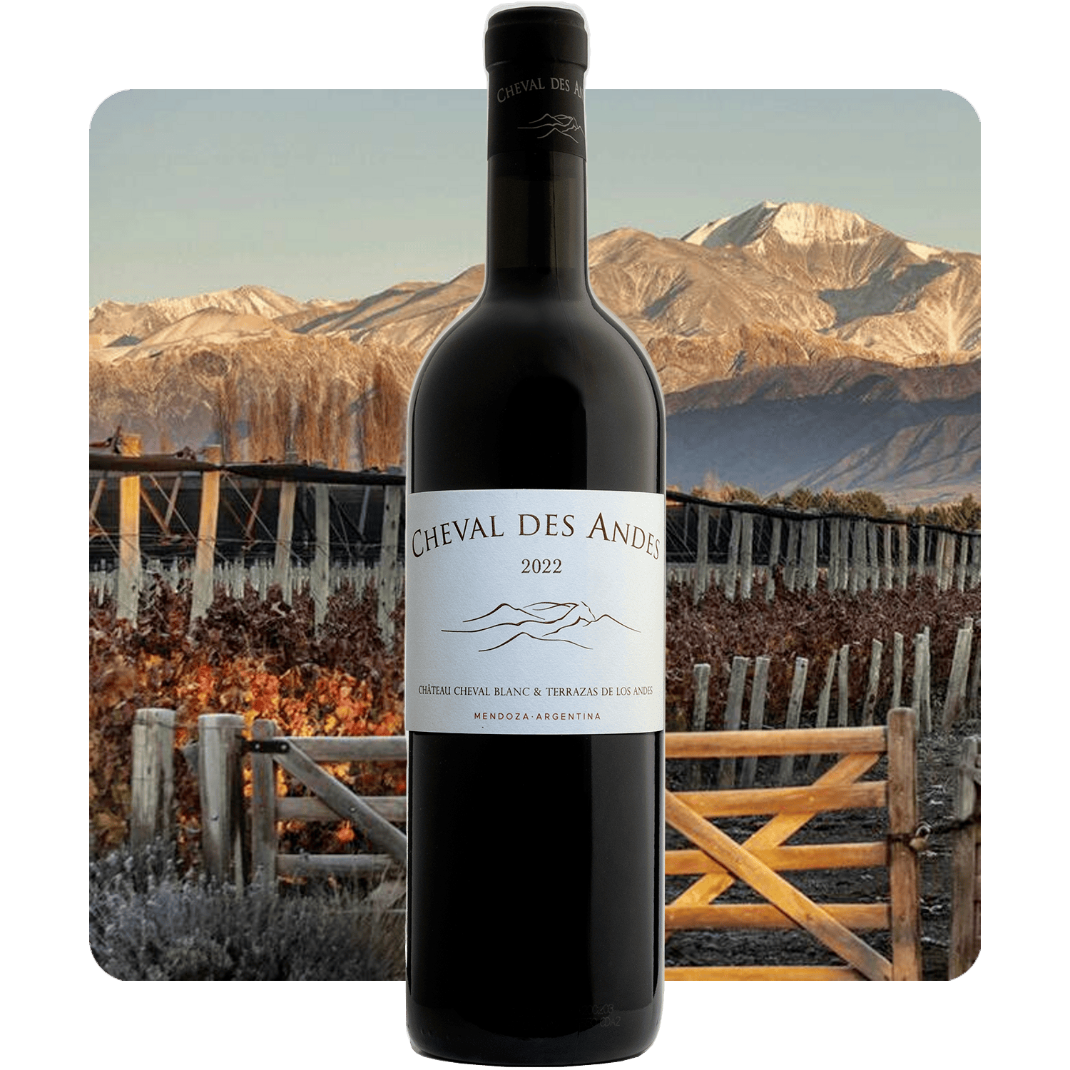 Cheval Blanc & Terrazas Cheval des Andes Mendoza 2022