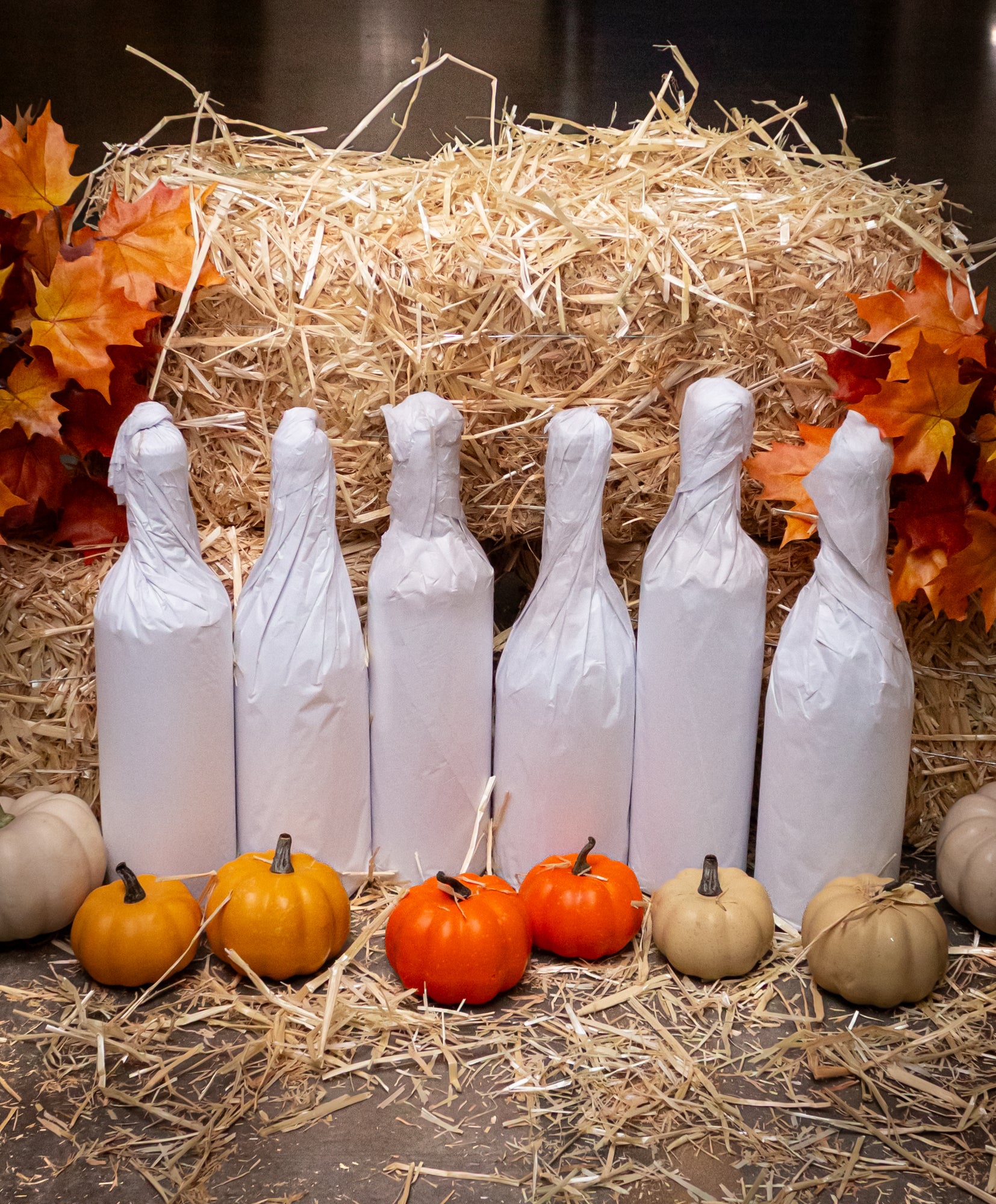 Harvest Secret Reserve Collector 6-Bottle Mystery Case