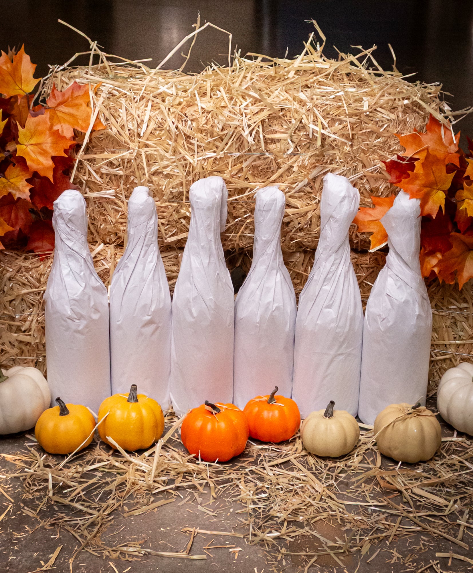 Harvest Pinot Noir 6-Bottle Mystery Case