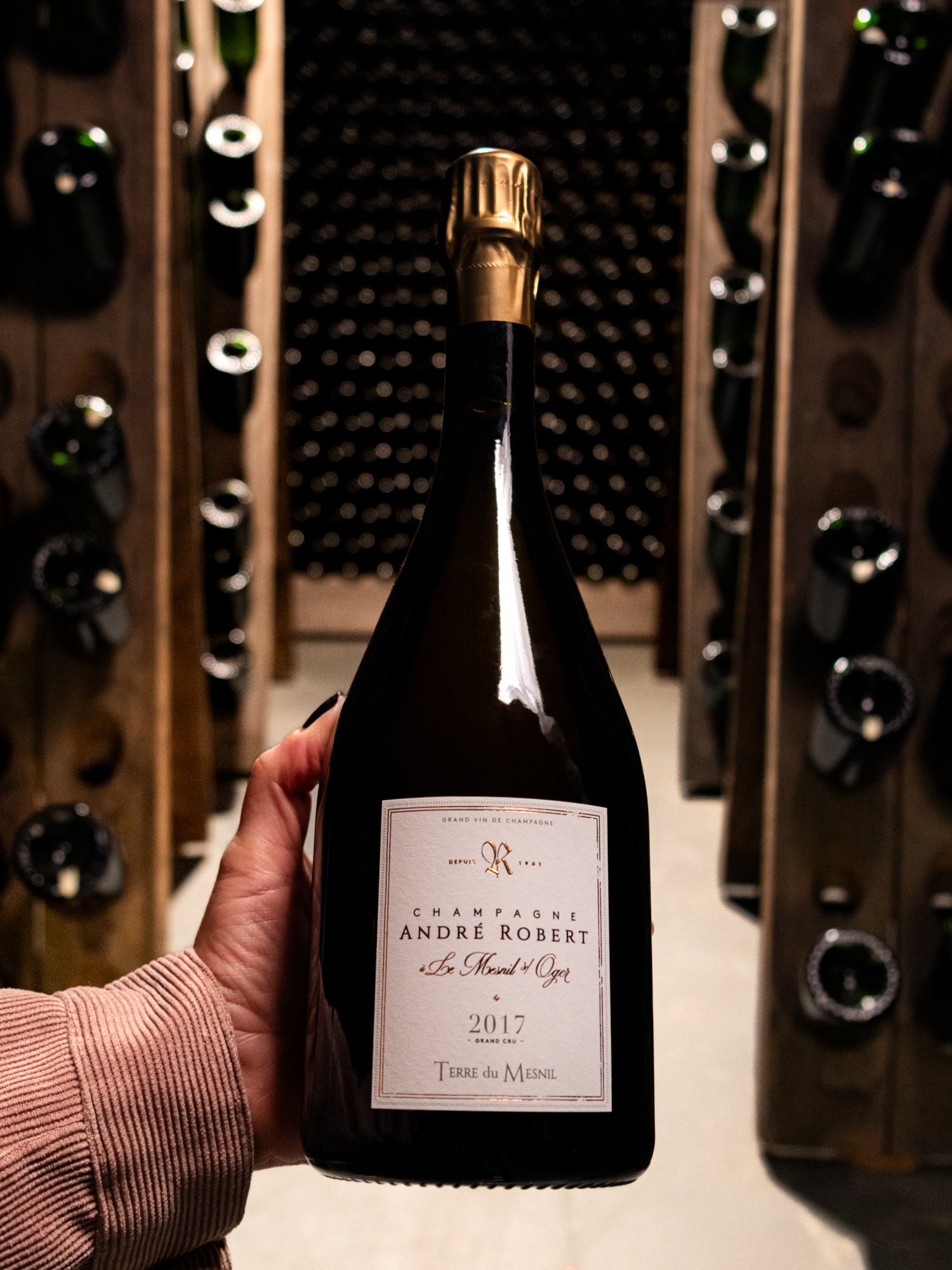 Champagne André Robert Blanc de Blancs Terre du Mesnil Brut Grand Cru 2017