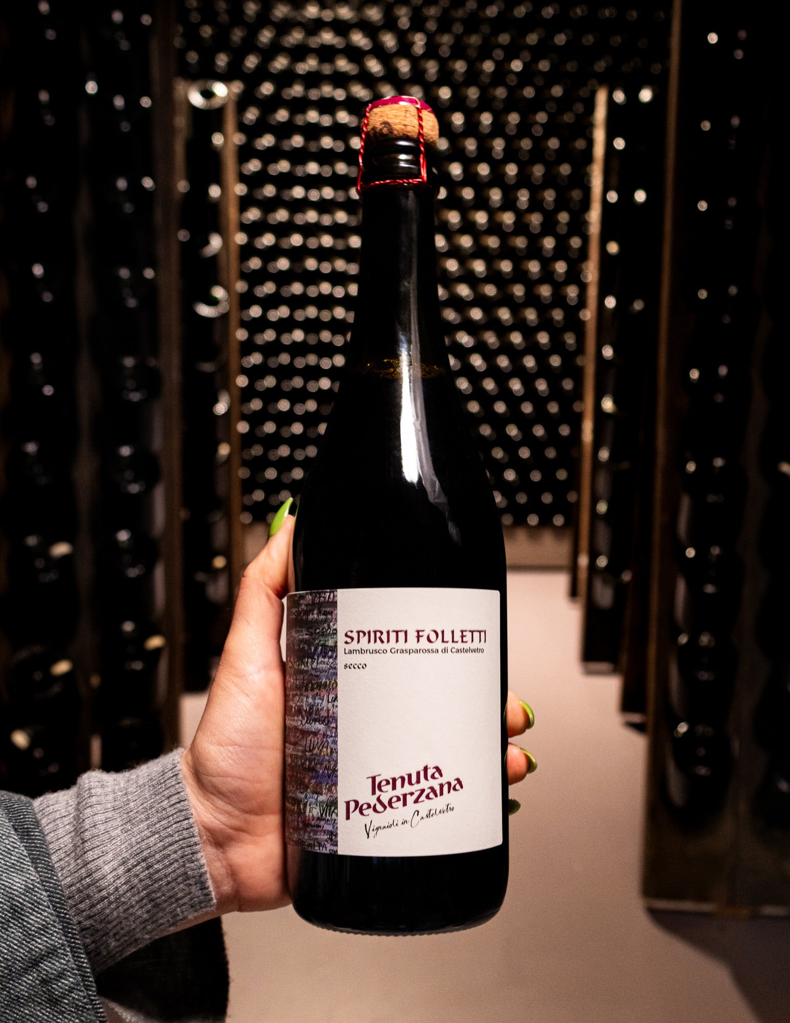 Tenuta Pederzana Lambrusco Grasparossa Castelvetro Spiriti Folletti Secco NV 2024
