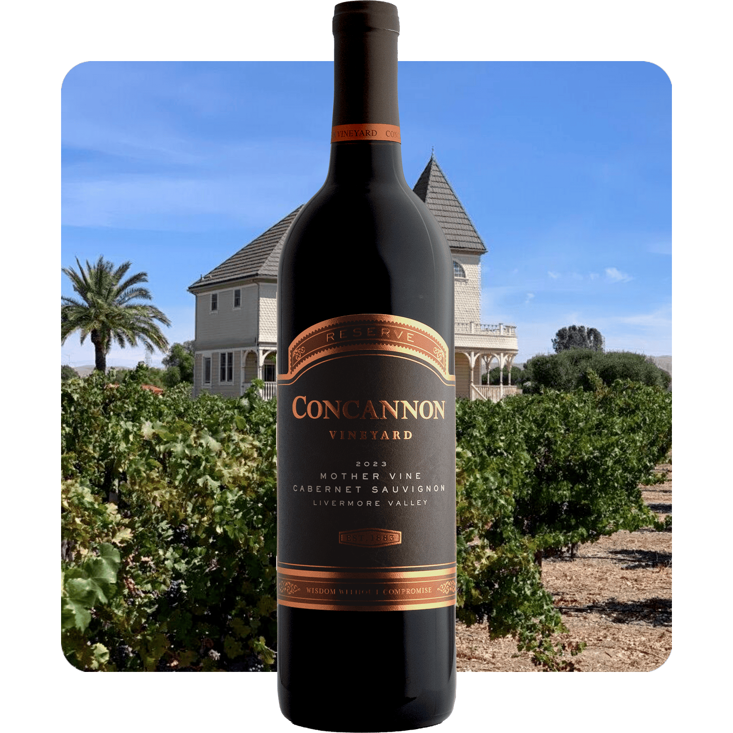 Concannon Mother Vine Reserve Cabernet Sauvignon 2023
