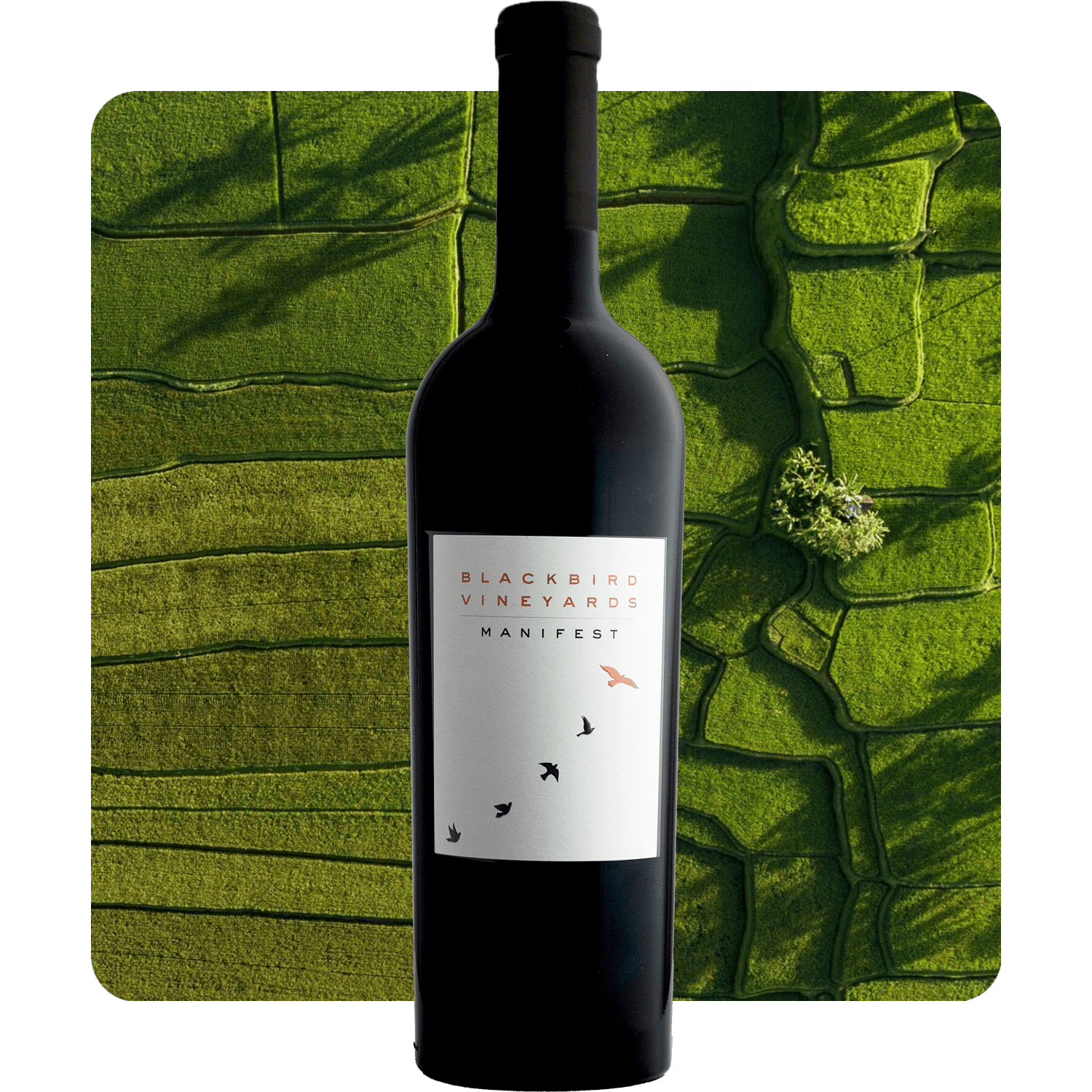 Blackbird Vineyards 2023 Manifest Napa Valley Cabernet Sauvignon