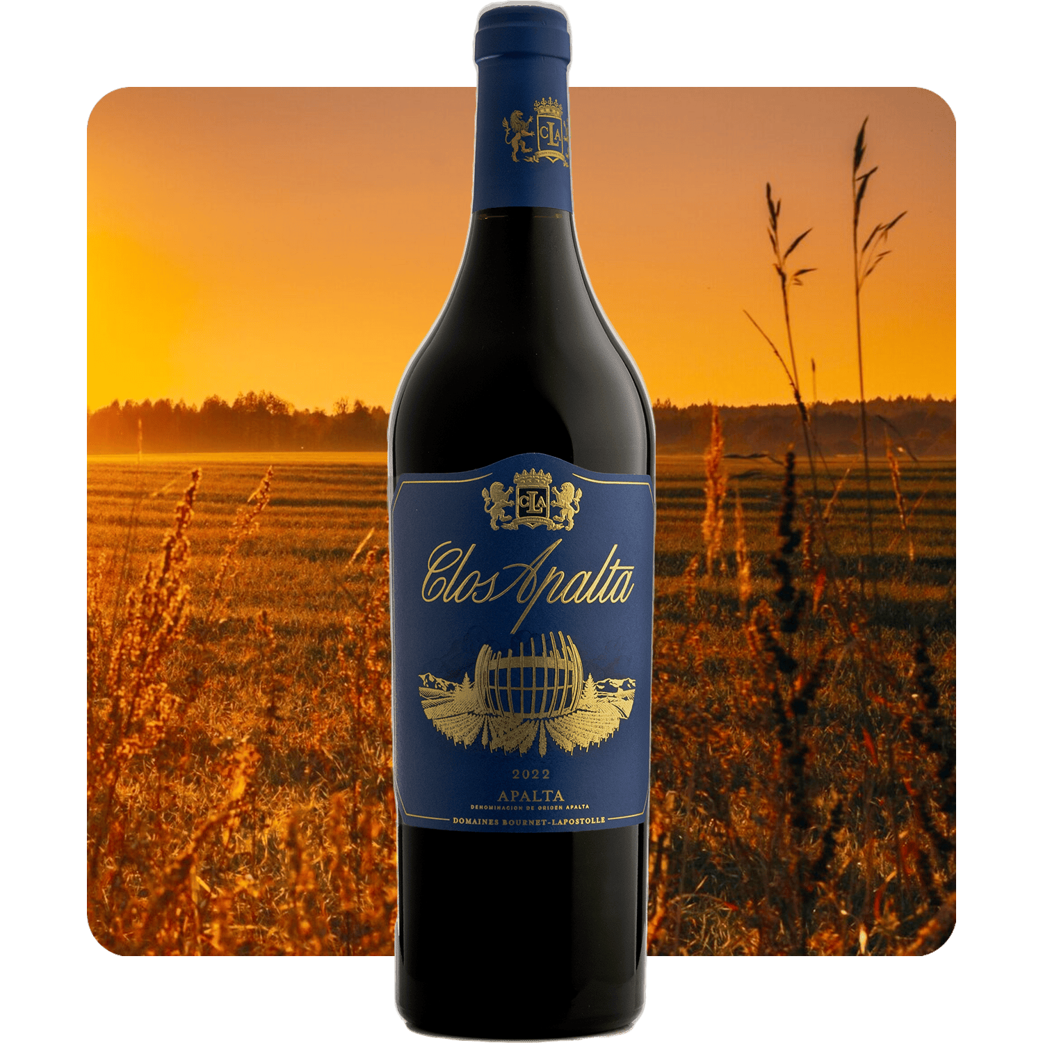 Clos Apalta Clos Apalta Red Colchagua Valley 2022